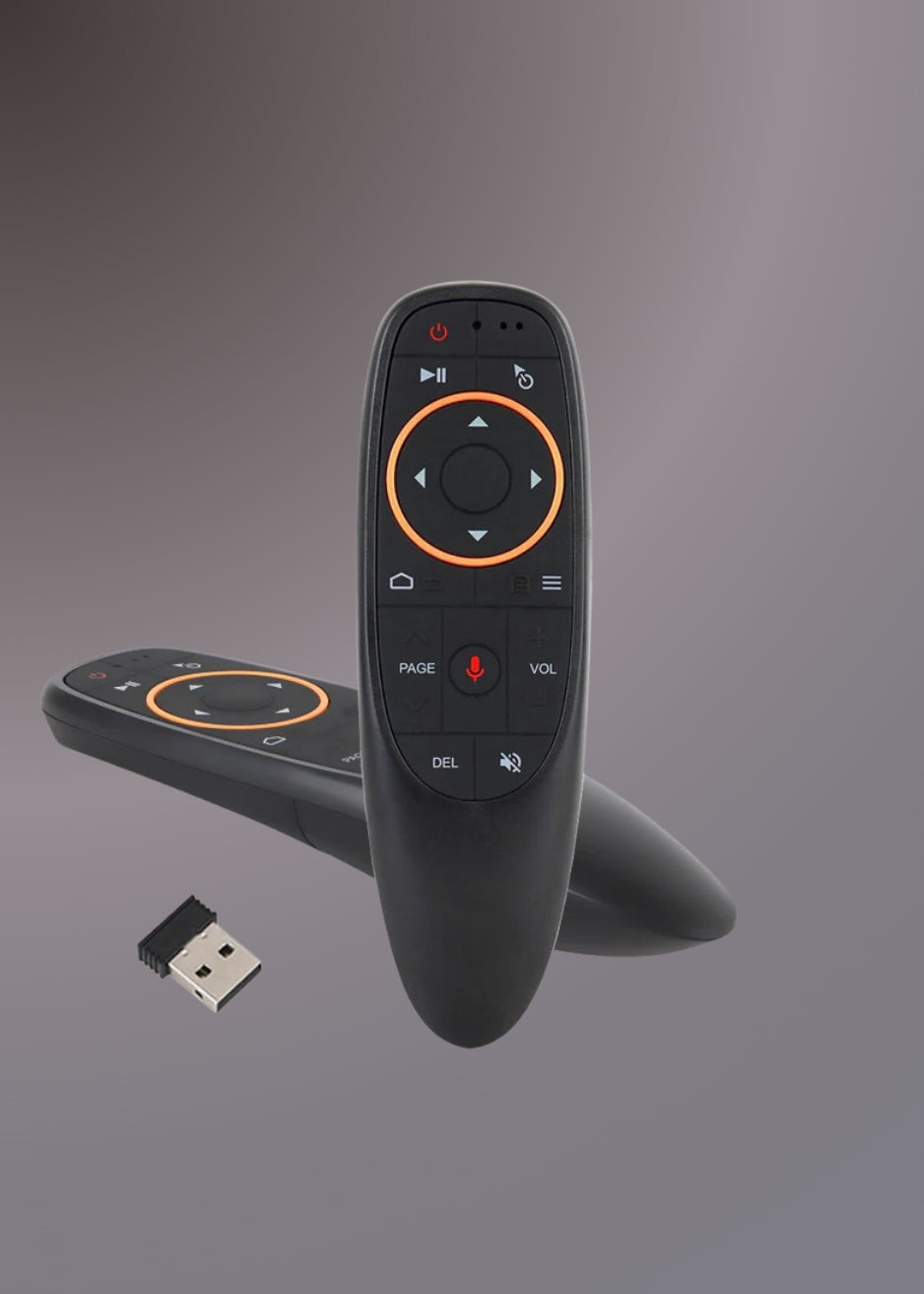 Air Mouse G10S with voice control